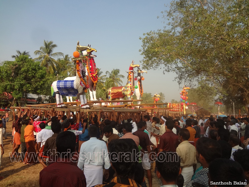 mangad-pooram-2012 (39)